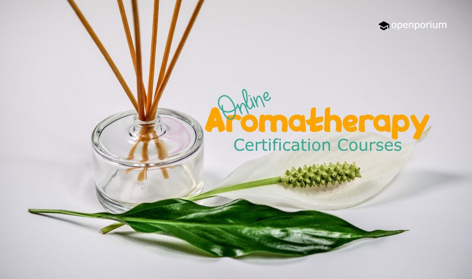 aromatherapy certification courses online
